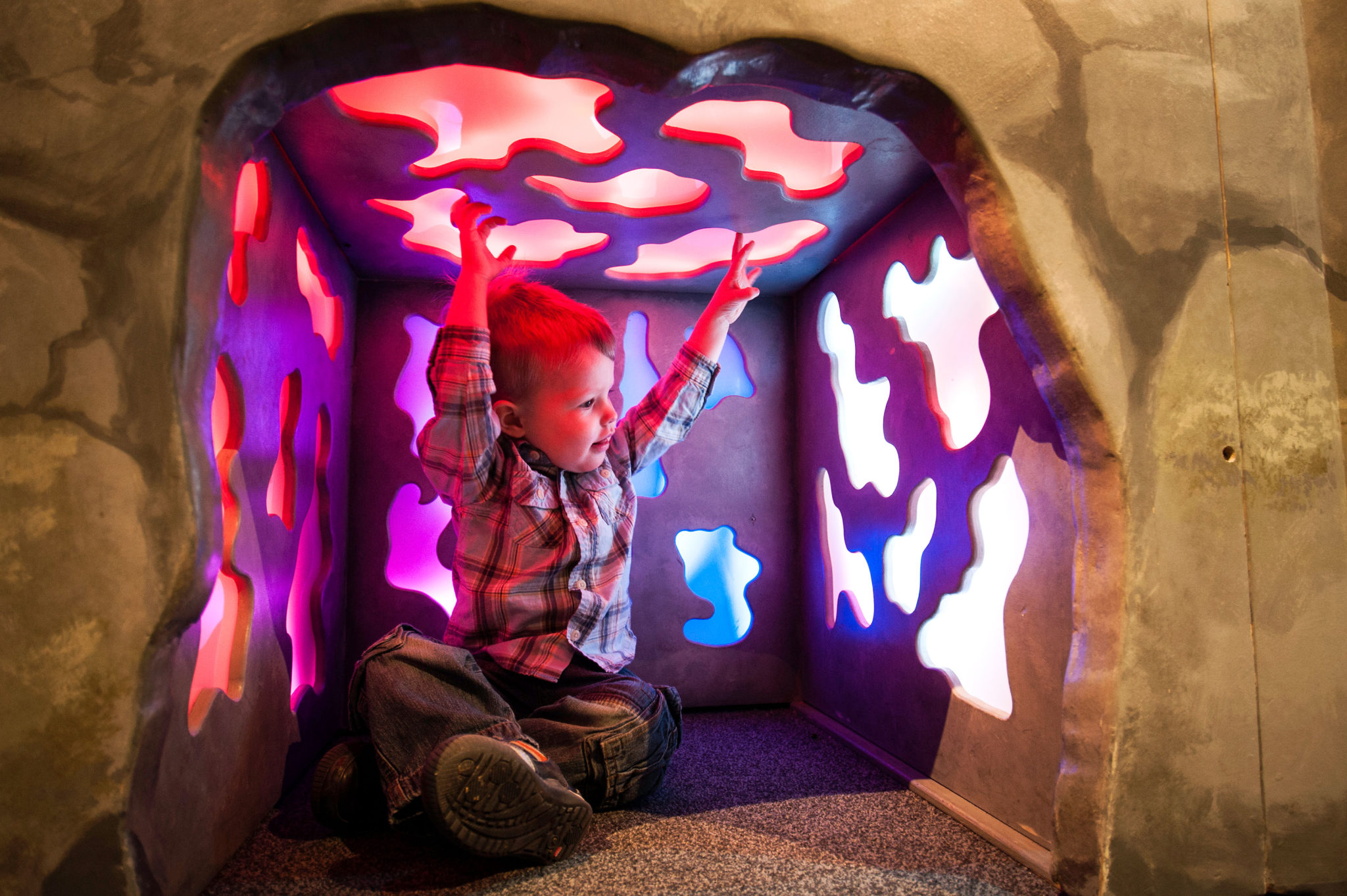 Dinosaurs Land of Fire and Ice Upcountry History Museum